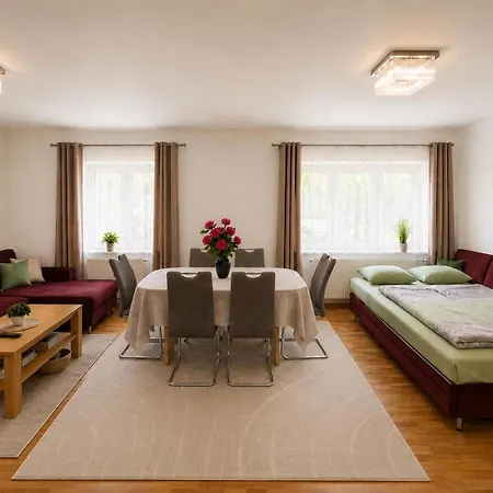 Zentrale Mit Kostenlosen Parkplaetzen Апартаменты Леобен